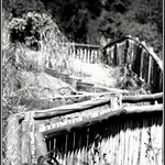 Steps - Botanical Garden Nelspruit