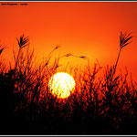 Sunset 1
