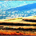 Golden Gate Nature Reserve