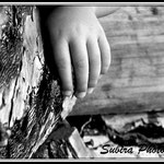 Lara Hand