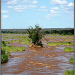 Olifant River, Kruger Park
