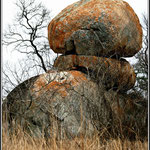 Rocks - Kruger Park