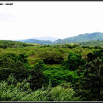 Lowveld Landscape