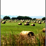 Bale Time on the Land