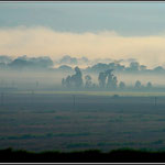 Early Morning Johannesburg 1