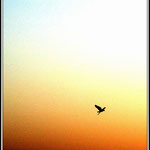 Sunrise 2