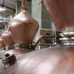 Distillerie of SARL Pautier in Veillard (BOURG-CHARENTE) - Pineau des Charentes du Domaine Pautier