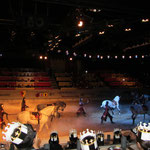 Medieval Times Dinner Theatre 