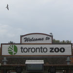 Toronto Zoo