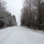Walking in the Winter Wonderland :D Snow and Christmas Break - Love my life :)) ♥
