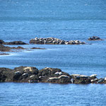 Seal Cove