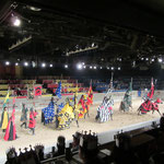 Medieval Times Dinner Theatre 