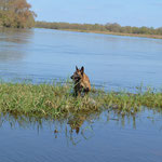 Henji 3 ans, sur les bords de Loire