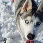 Narko dans la neige
