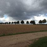 Wiesen und Weiden bei Köchingen Bild 1 24.8.2014 
