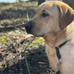Faithful Connection Ruby Tuesday *Ruby* 26.03.2023