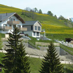 Baugrube Sommer 2014.