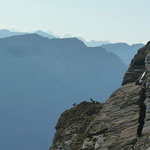 auch die Steinböcke geniessen die Aussicht!