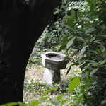 Anciennes douves de l'enceinte chiévroise (photo Emilie Nisolle)