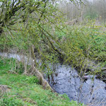 Environs et à proximité de la chapelle de la Ladrerie (Emilie Nisolle)