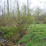 Environs et à proximité de la chapelle de la Ladrerie (Emilie Nisolle)