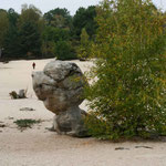 Fontainebleau - sables du cul de chien
