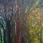licht 3 - 90 x 120 cm - acryl op linnen - verkocht