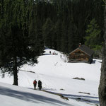 Schartenalm kurz vor der Goiserer Hütte