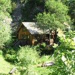 Der Bad Ausseer Alpengarten beherbergt auf 12.000 m² ca. 2000 Arten von Alpenpflanzen, Stauden und Gehölzen sowie pflanzliche Raritäten aus aller Welt.