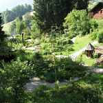 Der Bad Ausseer Alpengarten beherbergt auf 12.000 m² ca. 2000 Arten von Alpenpflanzen, Stauden und Gehölzen sowie pflanzliche Raritäten aus aller Welt.