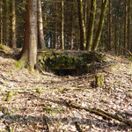 Bunker von 1938 zwischen Haselbach und Schmalzgruben