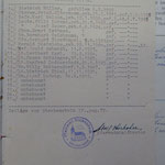 Liste der Toten im Sterbebuch der Pfarrei Stubenbach (einzusehen im Rathaus Hartmanice).