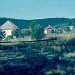 Das Ende von Haselbach-Lísková: Zollamt und -stadel und wenige Häuser; ganz hinten das "Fuchsenloch" (um 1955).