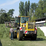 Radlader am Silohaufen