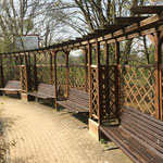 Sonderkonstruktion - Pergola Kiefer