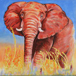 230220 Elefant Acryl auf Leinwand 50x50 cm verkauft