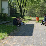 Die restlichen Jungs haben sich in den Schatten zurückgezogen.