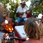 ...lauschten wir diesen den Nachmittag begleitenden fröhlichen Polynesien-Balladen unserer Jam Session-Musiker zu!