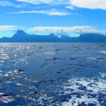 Wieder mal ein Blick über unser Heck auf Moorea zu... 