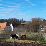 Erzählen lernen in Kloster Engelthal in Altenstadt