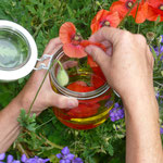 die blüten des klatschmohnes direkt ins glas geben