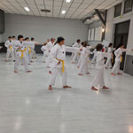 CTS Taekwondo Adultes 11/01/2023