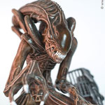 Alien custom - Custom Kosept