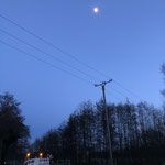 Januar - Spaziergang mit Hund
