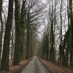 Januar 2020 (iPhone)