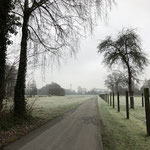 Januar 2020 (iPhone)