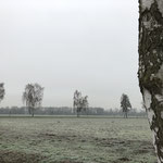Januar 2020 (iPhone)