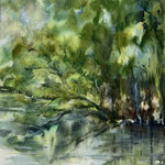überhängender Baum, Tusche/Aquarell<br/>50x40cm, 2022