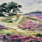 in der Heide, Aquarell  <br/> 36x48cm, 2018
