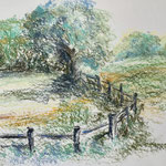 an der Koppel,Pastell<br/>33x46cm,2021